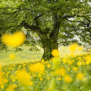 Monte Cucco Park, Umbria, by Maurizio Biancarelli