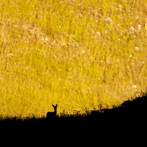 Wilderness, Central Italy, by Maurizio Biancarelli
