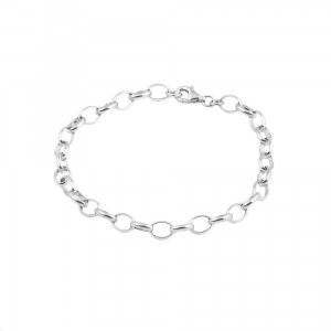 The Wild Charm Silver Link Bracelet for Charms